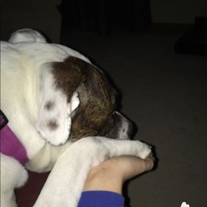 Meet your Posher, Hal